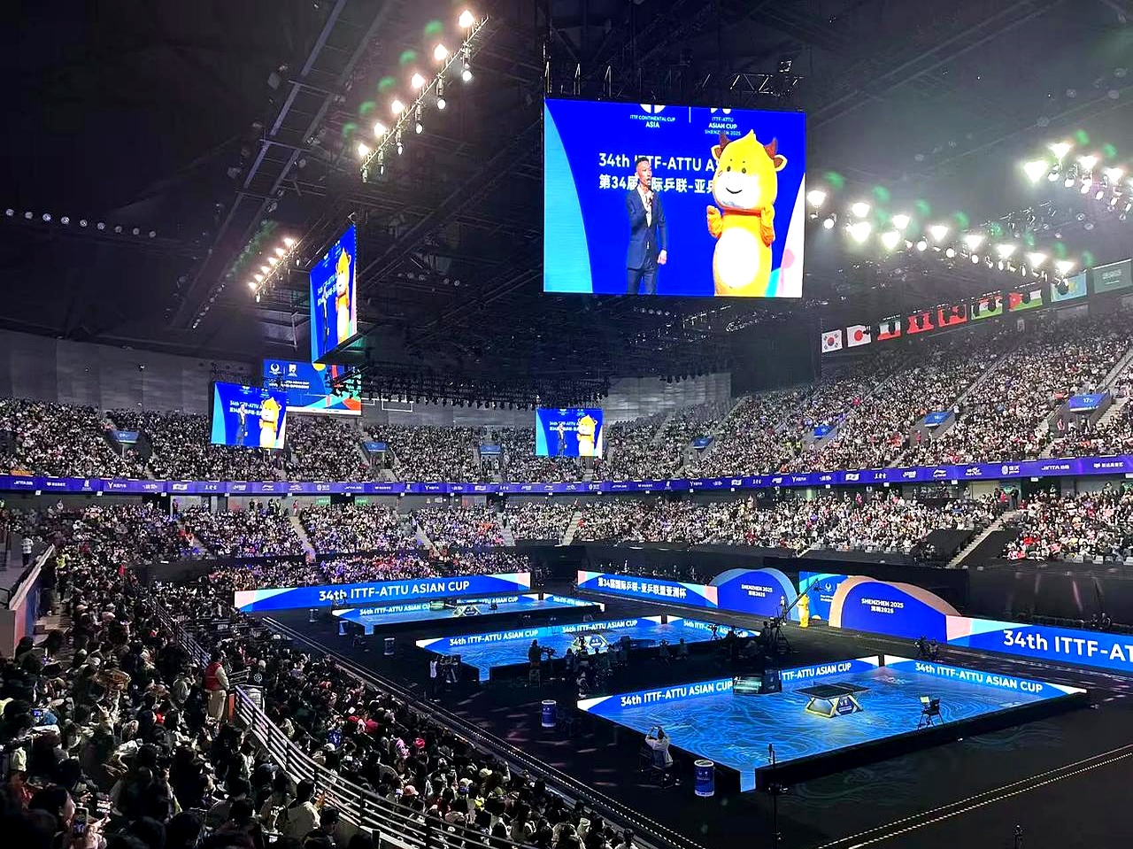 爱沙尼亚女足实力青云直上，世界杯赛场成焦点的简单介绍