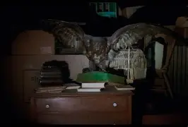 卡达利侧隋沉默声援戈失联 卡达利侧隋沉默声援戈失联